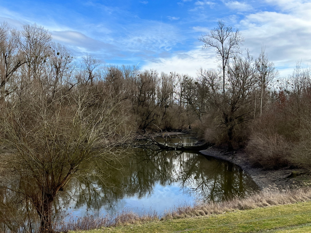 23-02-18 14-31-20 4257